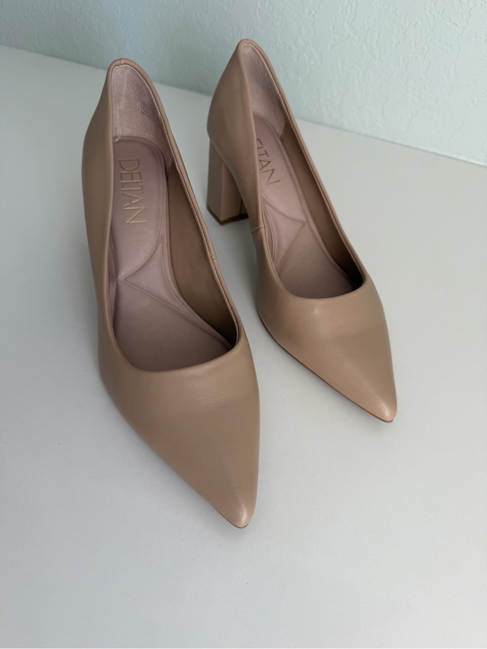 Nude Pointed Block Heel Pumps ( NWOT)
